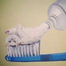 贪吃菇的个人资料头像