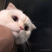 叹音的个人资料头像