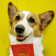 JEEKWONG的个人资料头像