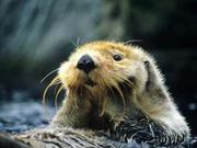 AsMaker的个人资料头像