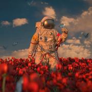 Like心祝你好运的个人资料头像