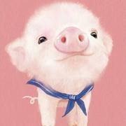 猪脚饭的悲伤的个人资料头像