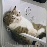 星空守候的个人资料头像