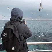 颜语凌的个人资料头像