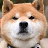 短跑6k7y头像