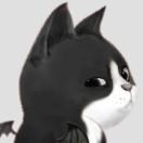 A的个人资料头像