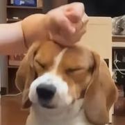 王金戈的个人资料头像