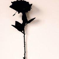 用户9732651543316头像