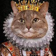 BeSimppple的个人资料头像