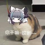 HiguchiMadoka头像
