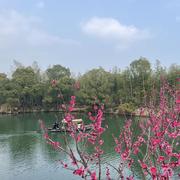 宇宙小学生的个人资料头像