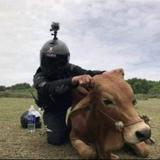 宁奕小哥头像