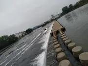 善良的胖子的个人资料头像