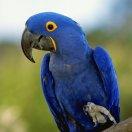 最熟悉的陌生人君的个人资料头像