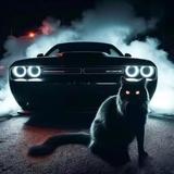 排气管的午夜蓝调头像