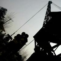 风吹小鸡飘头像