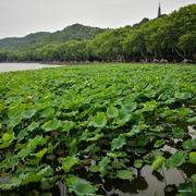名字还没想好的个人资料头像