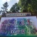 超越自我不想说话87642的个人资料头像