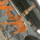 气气1547头像