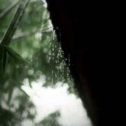 心静如水的个人资料头像