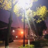 用户231108719329头像