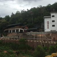 一心一意金桔OY头像