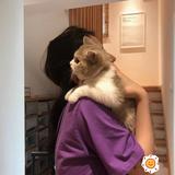 阿盼欧尼头像