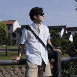 旷野车夫马走日头像