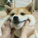 MrLonely酱92668的个人资料头像