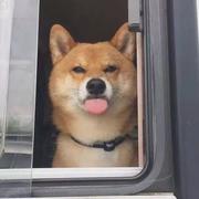 LonelyPatient的个人资料头像