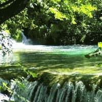 二月的春风吹头疼头像