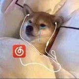 你六爷来啦头像