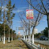 山石的铺子头像