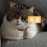 用户3355463874589头像