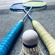 小纯纯的个人资料头像