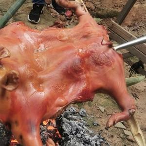 多才宇宙pI头像