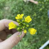 与原昵称相同头像