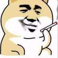 西瓜卍小太郎头像