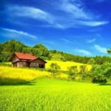 用户7979770827077头像