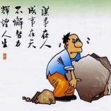 秦氏木业881头像