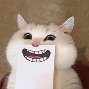 fishWhy的个人资料头像