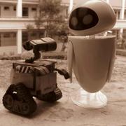 陈龙辉的个人资料头像