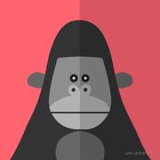 locallocal的个人资料头像