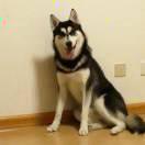 www涵com的个人资料头像