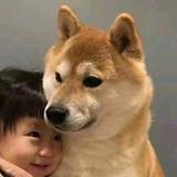 用户8284282083225头像