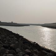 摸鱼丸的个人资料头像