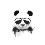 Snew_xx的个人资料头像