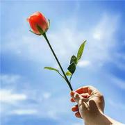 雨过彩虹的个人资料头像