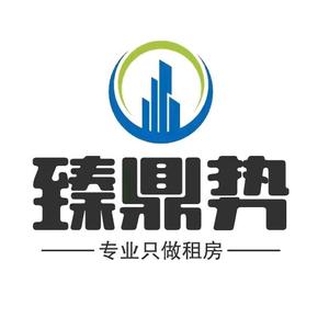 大同臻鼎势信息咨询服务中心头像