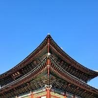 WuliBoBo头像